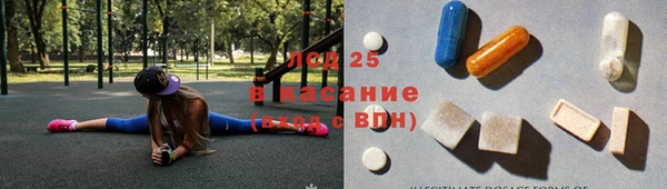прущие грибы Балабаново