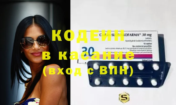 прущие грибы Балабаново