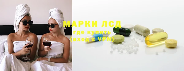 прущие грибы Балабаново