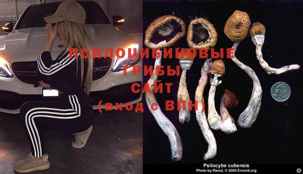 MESCALINE Аркадак
