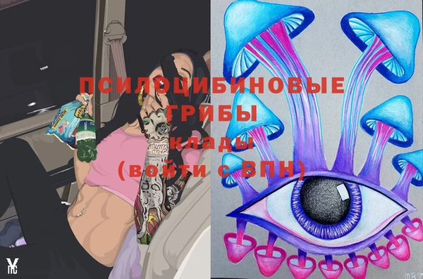 прущие грибы Балабаново